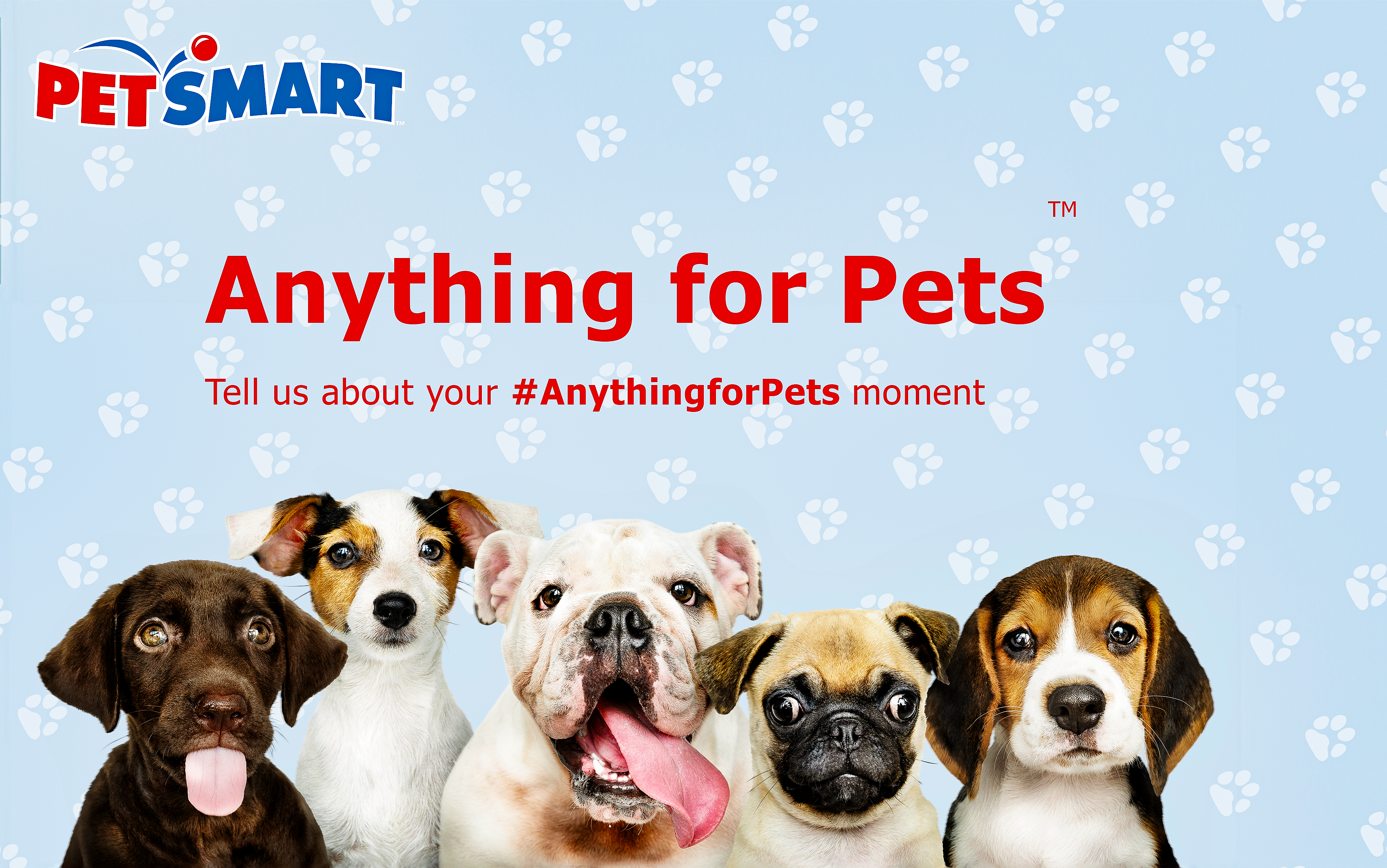 PetSmart Mockup Ad 2023